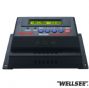wellsee ws-c2430 25a 12/24v solar controller